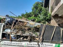 Best Recycling Services for Junk  in Silver Lake, KS